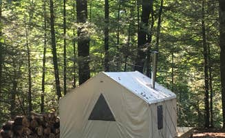 The Dyrt's photo at Forest with a Trout Creek near Kerhonkson, NY