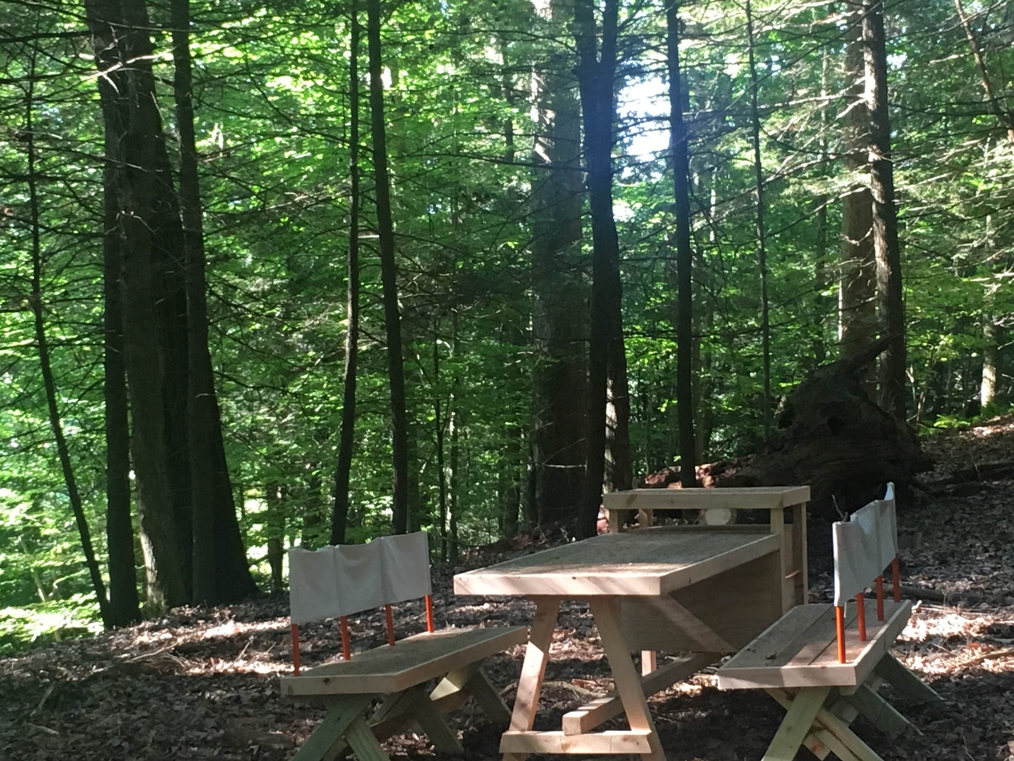 The Dyrt's photo at Forest with a Trout Creek near Pine Bush, NY