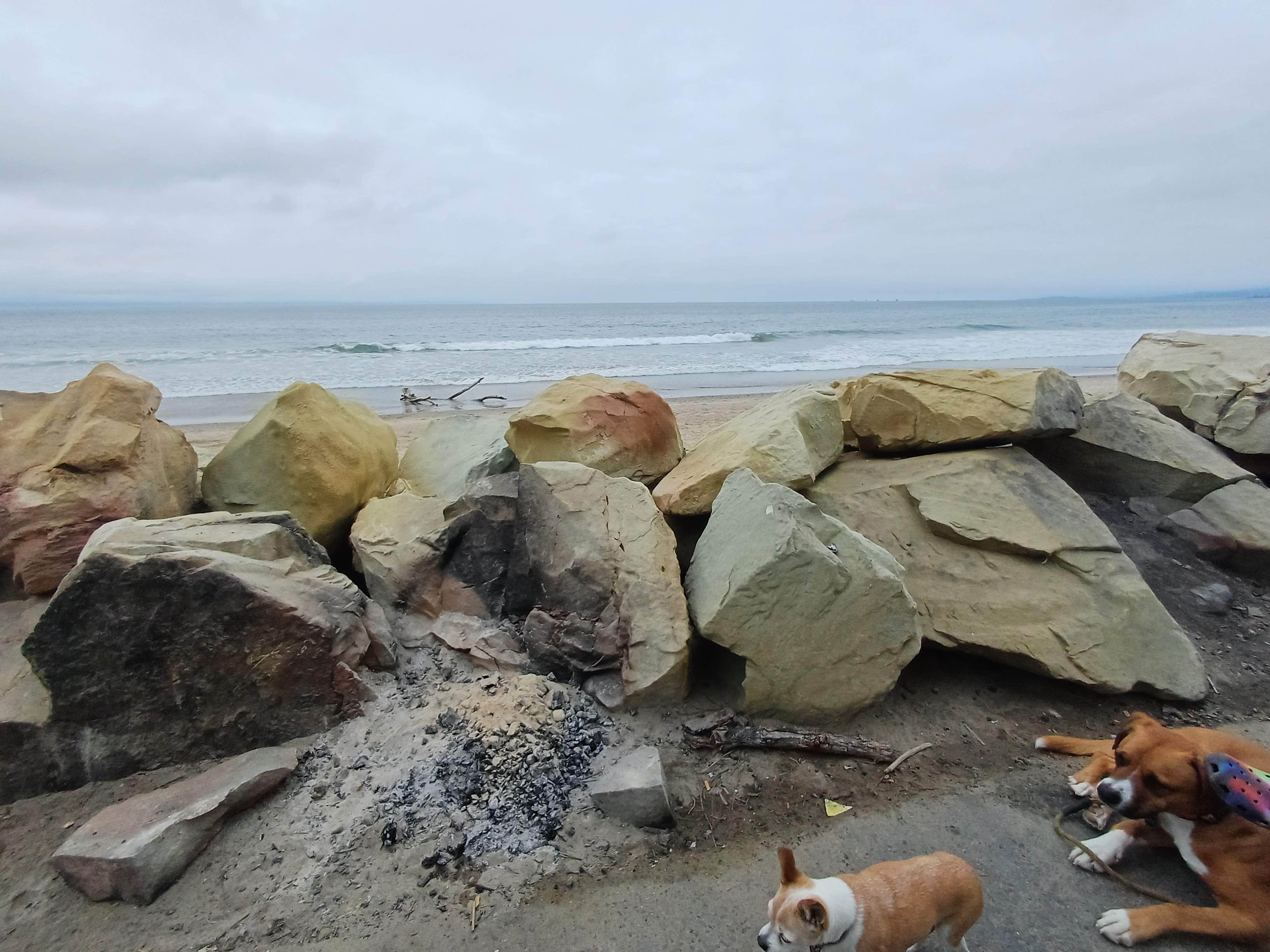 Laura M.'s photo of camping with pets at Rincon Parkway RV Overnight near Santa Barbara, CA