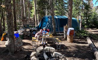 Kevin W.'s photo at Chambers Lake Dispersed Camping near Gould, CO