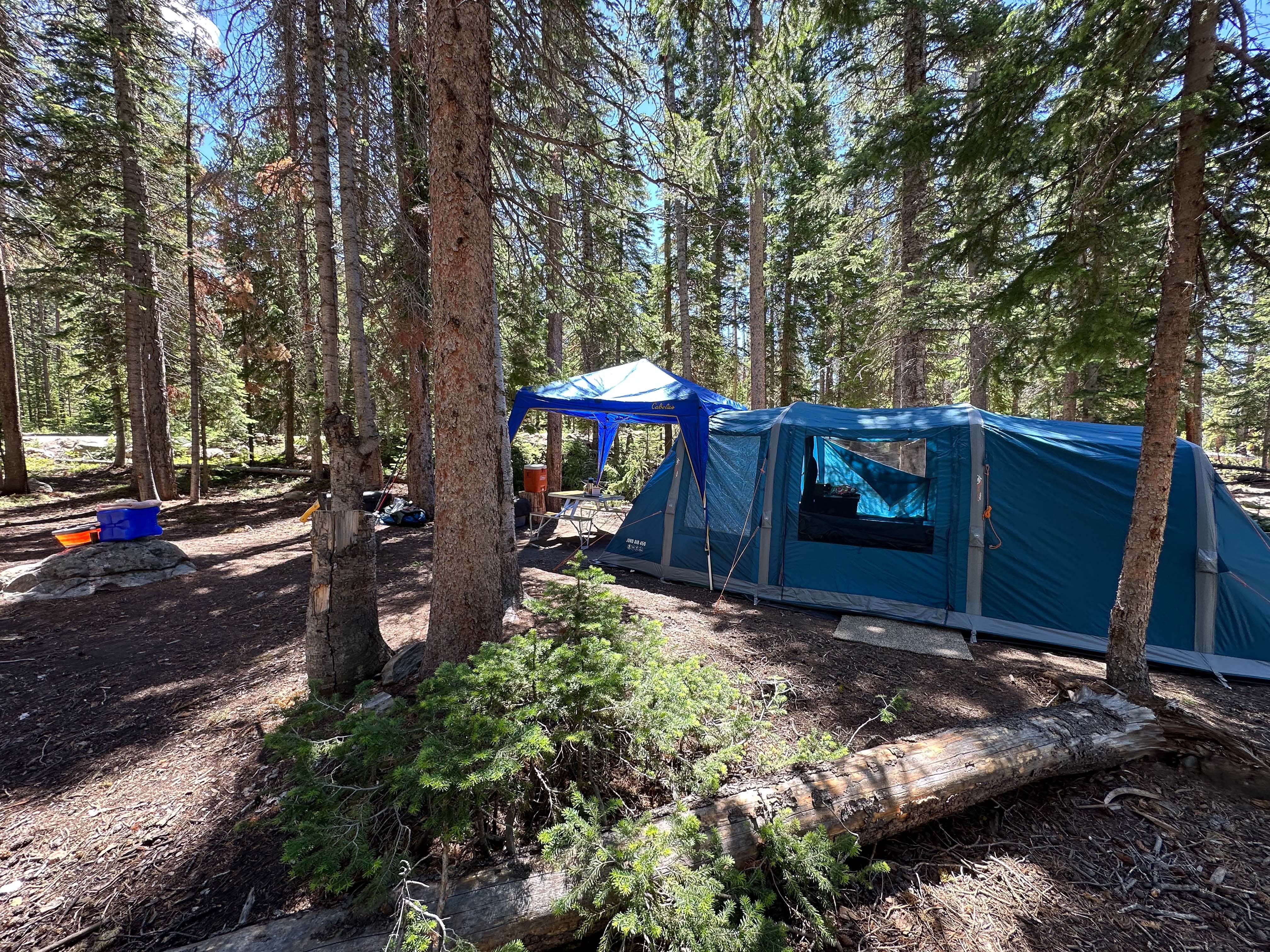 Camper submitted image from Chambers Lake Dispersed Camping - 2