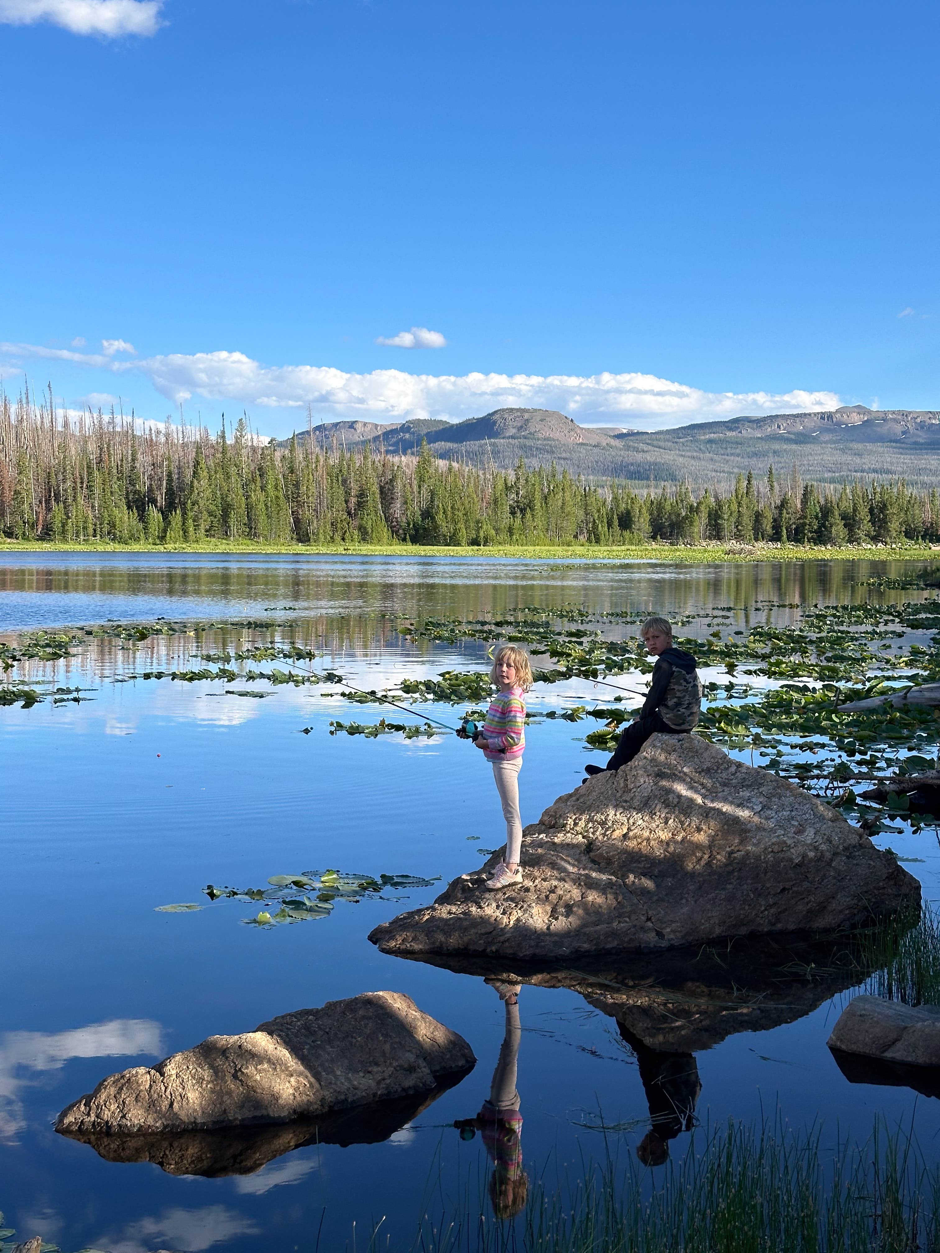 Camper submitted image from Chambers Lake Dispersed Camping - 3