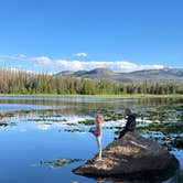 Review photo of Chambers Lake Dispersed Camping by Kevin W., July 26, 2024