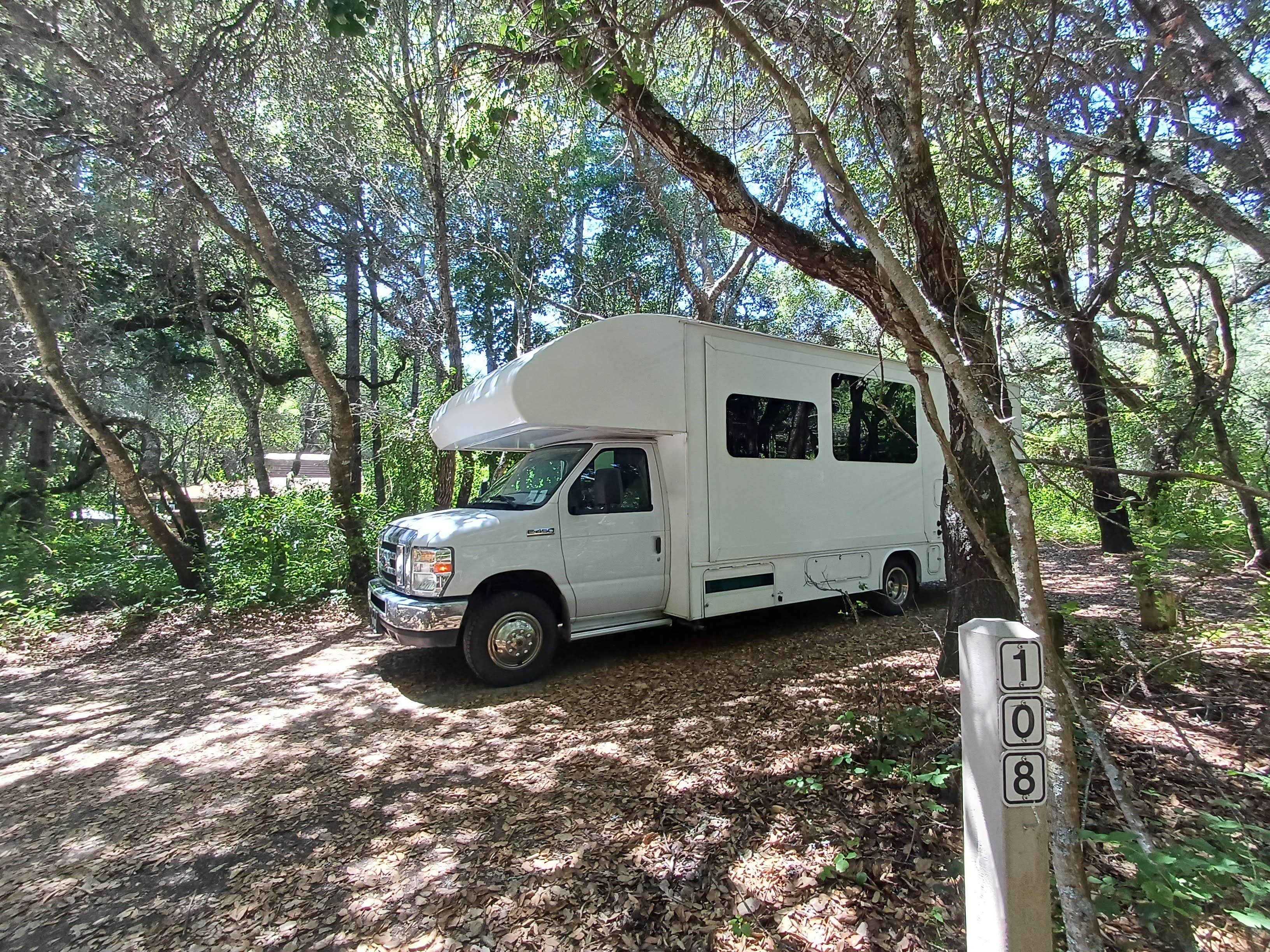 Laura M.'s photo of rv camping at Henry Cowell Redwoods State Park Campground near Mount Hermon, CA