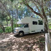 Review photo of Henry Cowell Redwoods State Park Campground by Laura M., July 26, 2024