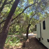 Review photo of Henry Cowell Redwoods State Park Campground by Laura M., July 26, 2024