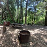 Review photo of Henry Cowell Redwoods State Park Campground by Laura M., July 26, 2024