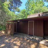 Review photo of Henry Cowell Redwoods State Park Campground by Laura M., July 26, 2024