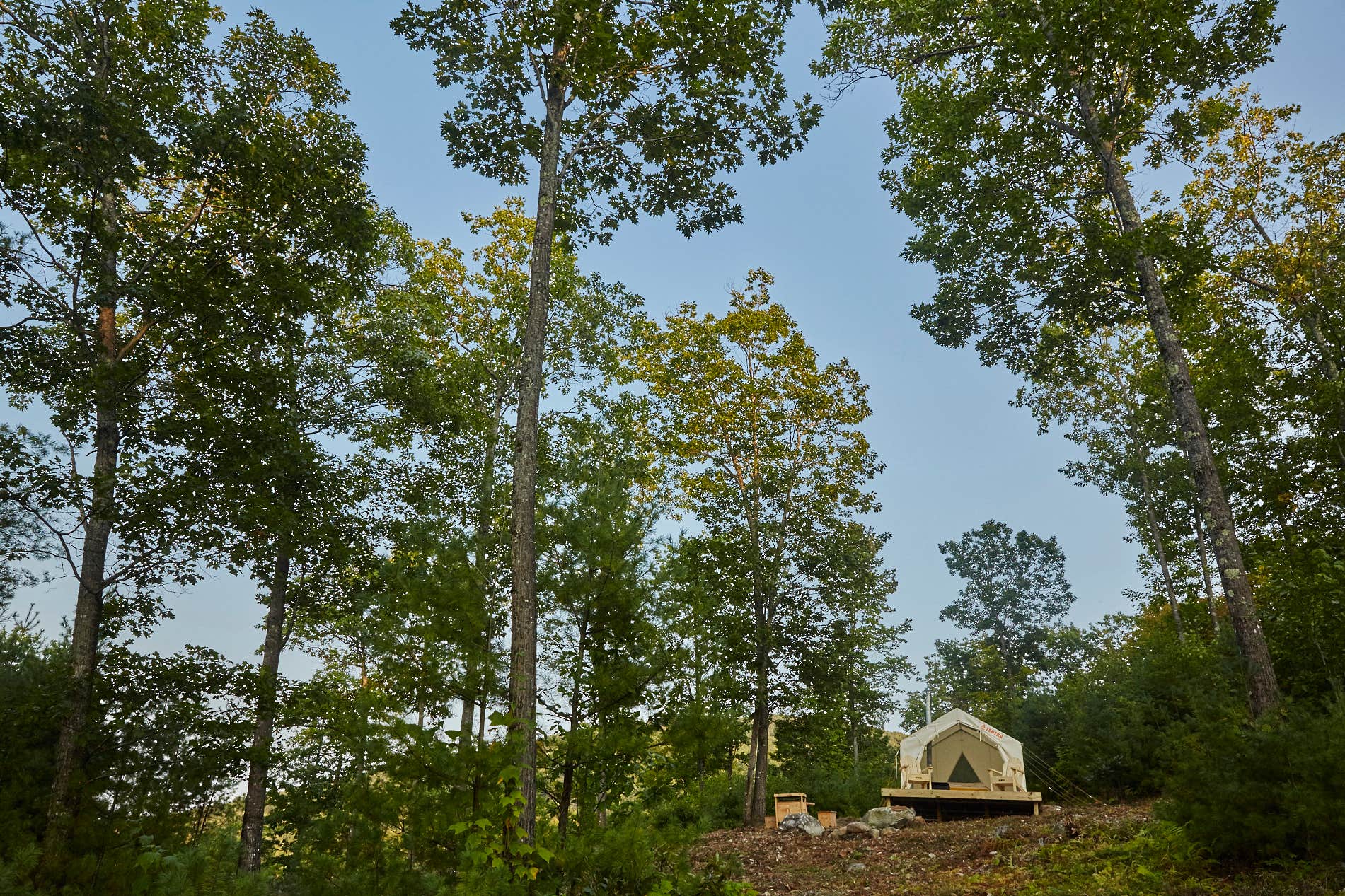 The Dyrt's photo at Wayshego on Little Mountain near North Waterford, ME