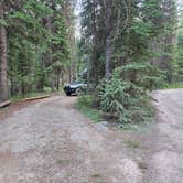 Review photo of Bowman Lake Campground — Glacier National Park by Taryn S., July 27, 2024