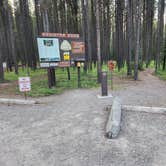 Review photo of Bowman Lake Campground — Glacier National Park by Taryn S., July 27, 2024