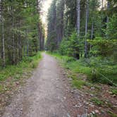 Review photo of Bowman Lake Campground — Glacier National Park by Taryn S., July 27, 2024