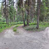 Review photo of Bowman Lake Campground — Glacier National Park by Taryn S., July 27, 2024