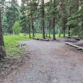 Review photo of Bowman Lake Campground — Glacier National Park by Taryn S., July 27, 2024