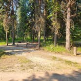 Review photo of Bowman Lake Campground — Glacier National Park by Taryn S., July 27, 2024