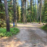 Review photo of Bowman Lake Campground — Glacier National Park by Taryn S., July 27, 2024