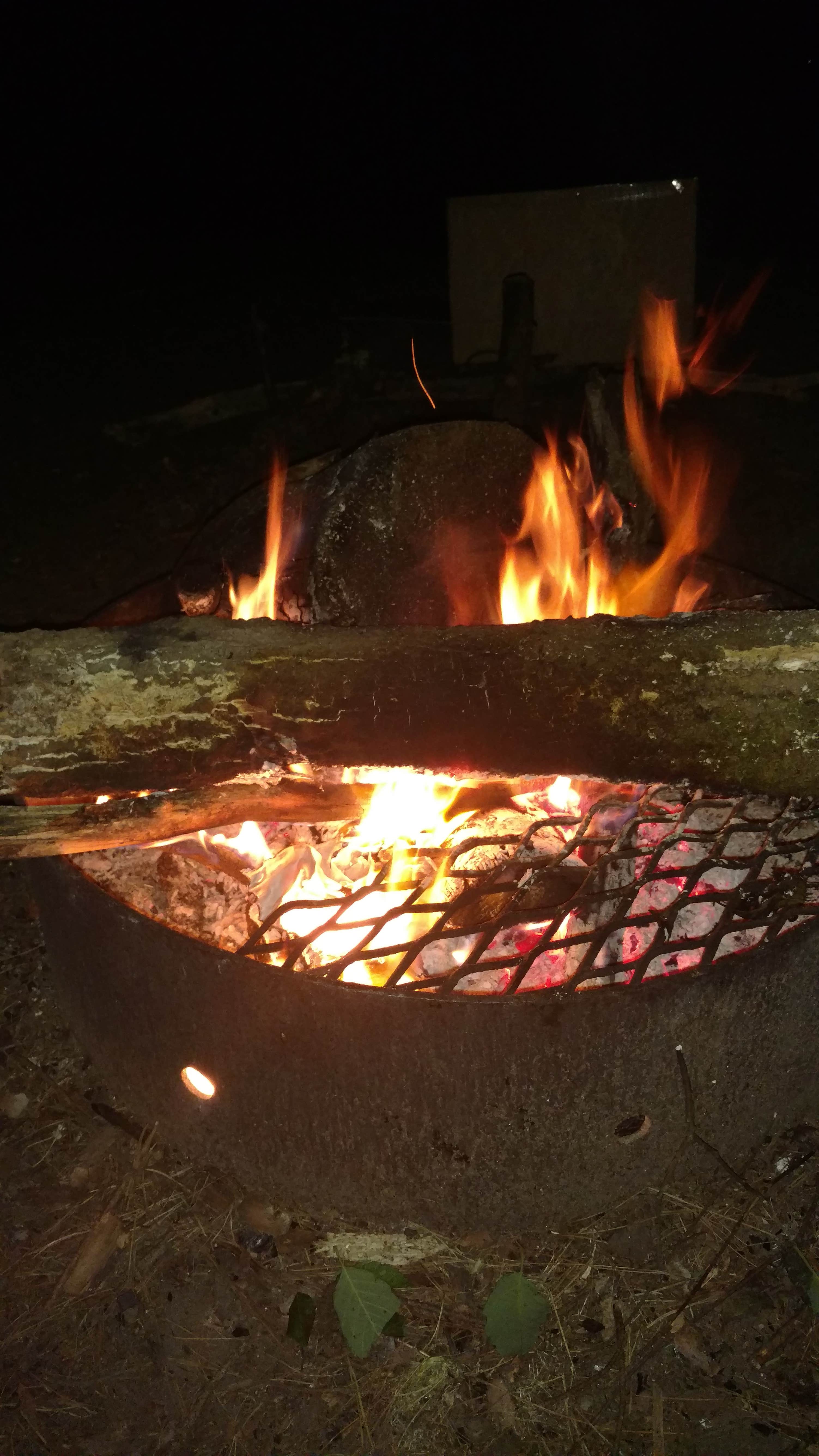 Camper submitted image from Musky Lake Campground — Northern Highland State Forest - 3