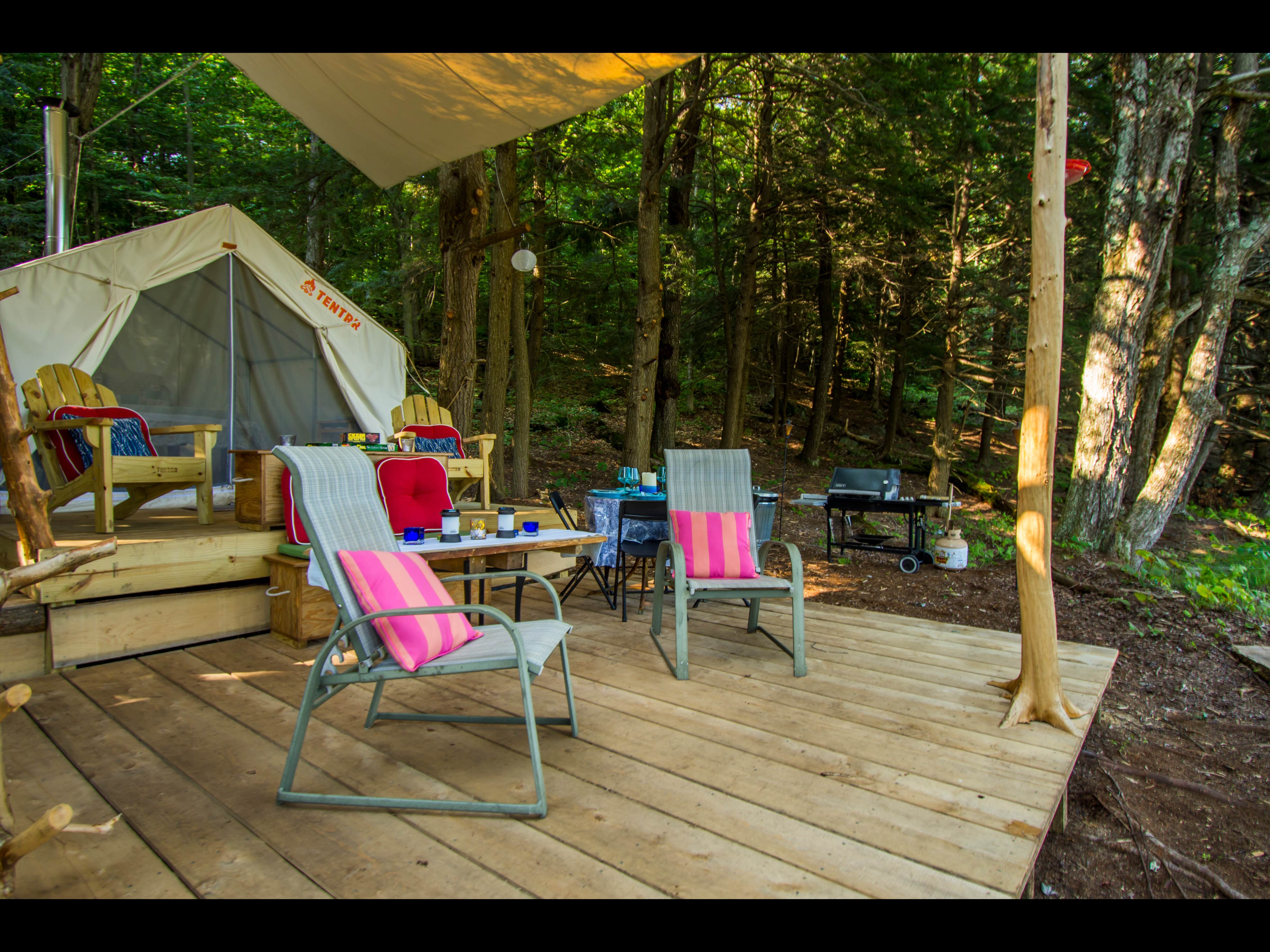 The Dyrt's photo at Kneeling Tree near Saratoga Springs, NY