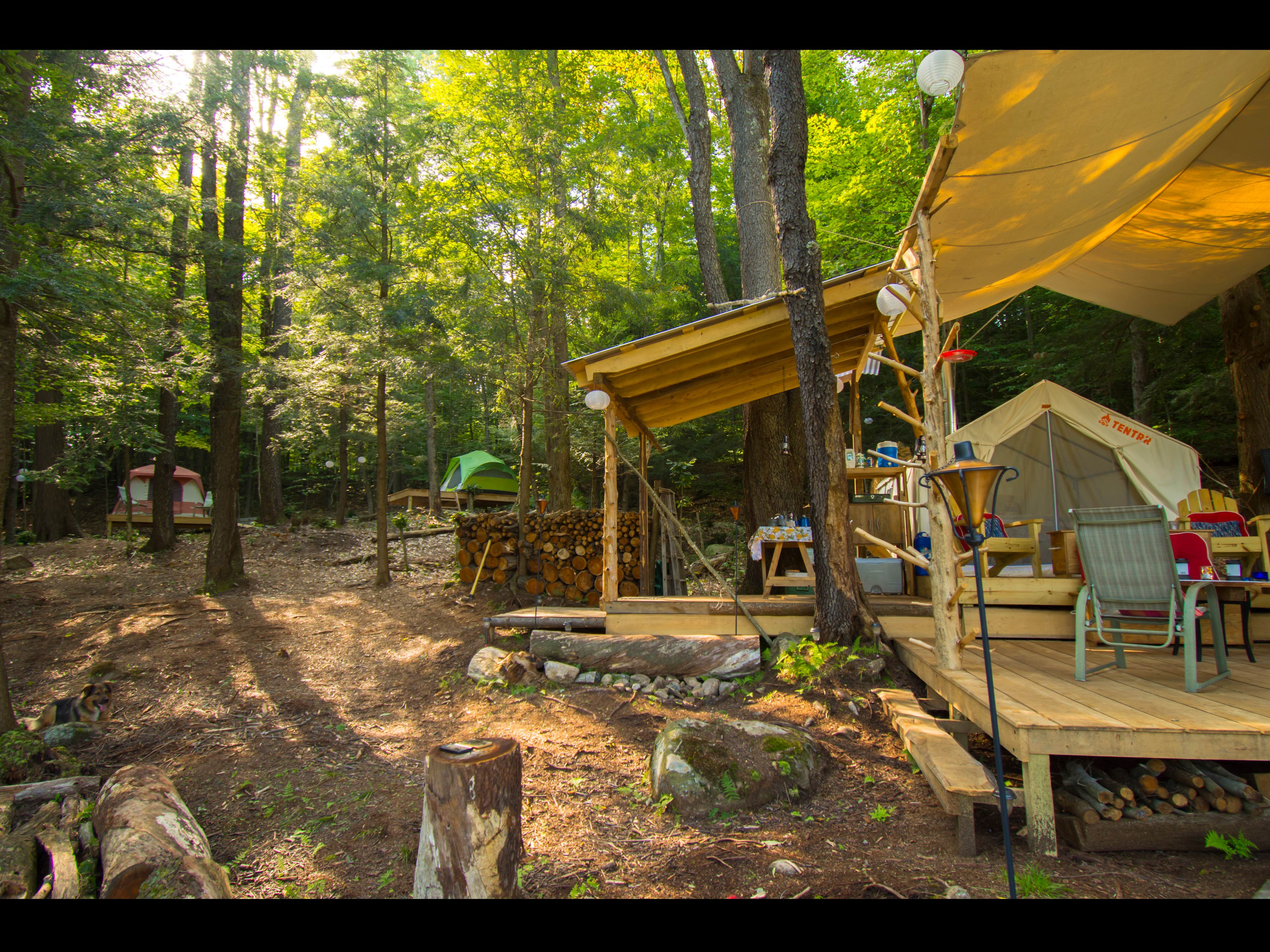 The Dyrt's photo at Kneeling Tree near Round Lake, NY
