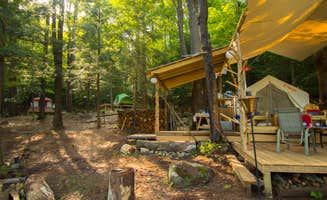 The Dyrt's photo at Kneeling Tree near Alplaus, NY