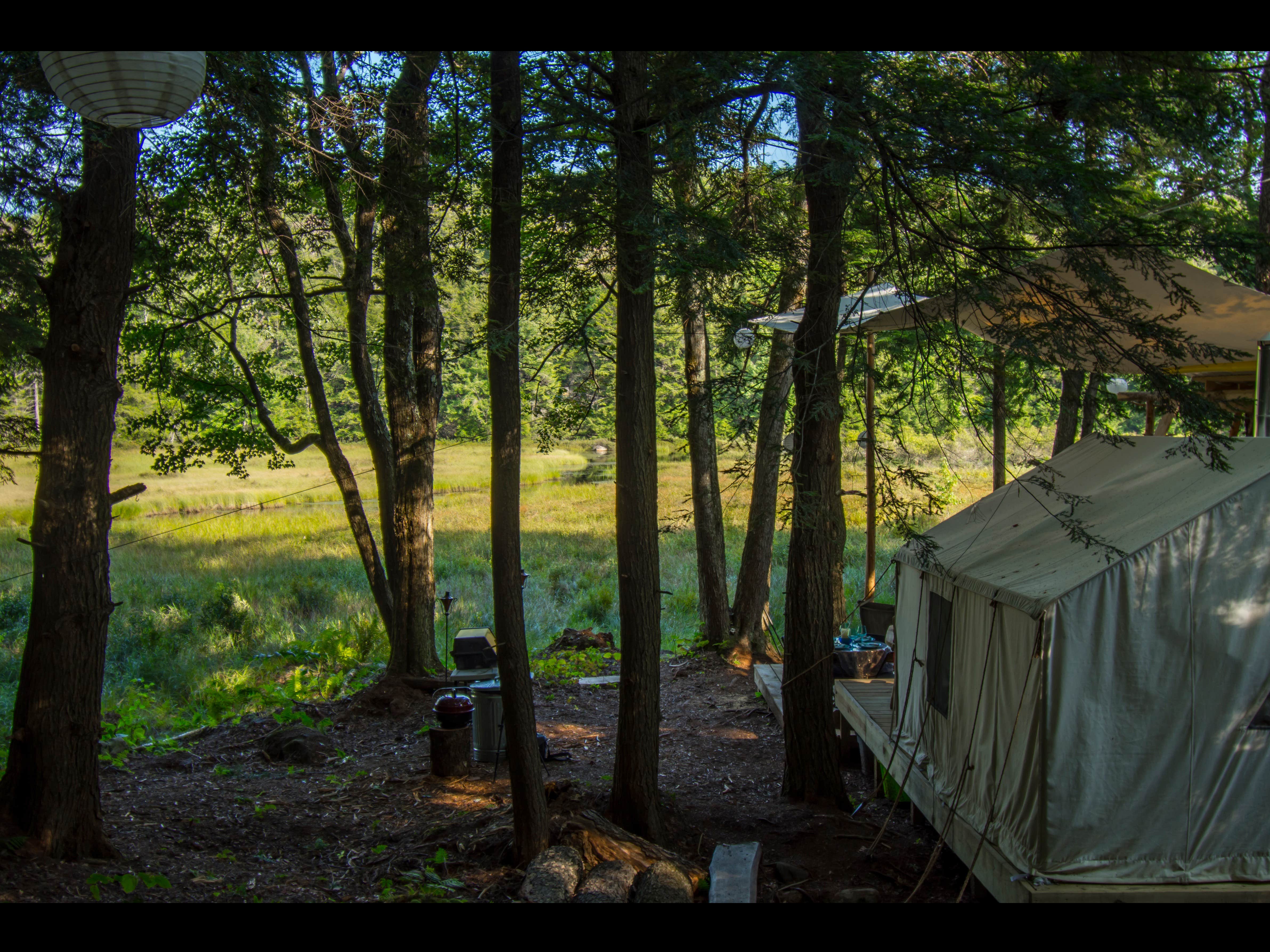 The Dyrt's photo at Kneeling Tree near Ballston Spa, NY
