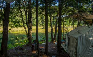 The Dyrt's photo at Kneeling Tree near Ballston Spa, NY
