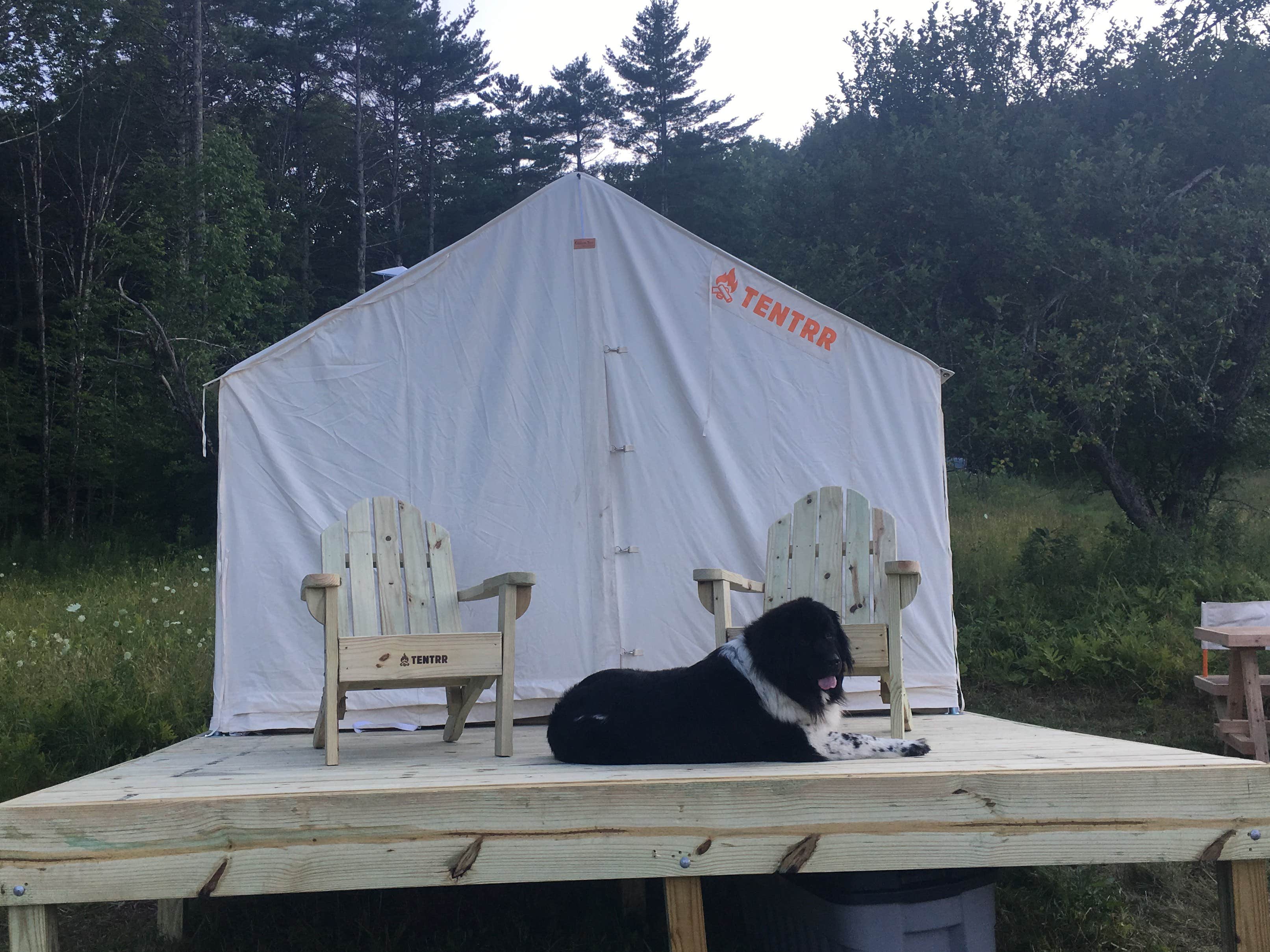 The Dyrt's photo of camping with pets at A Slice of Heaven near West Newbury, VT