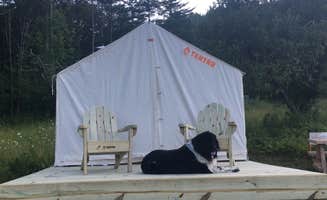 The Dyrt's photo of camping with pets at A Slice of Heaven near Hanover, NH