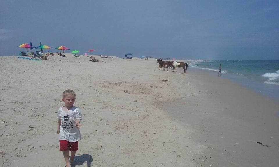 Camper submitted image from Bayside Assateague Campground — Assateague Island National Seashore - 5