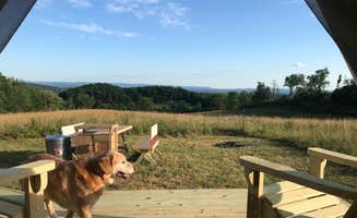 The Dyrt's photo of camping with pets at Runamuk Farm near Saratoga Springs, NY