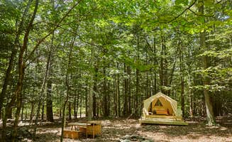 The Dyrt's photo at Little Bear near Hurley, NY