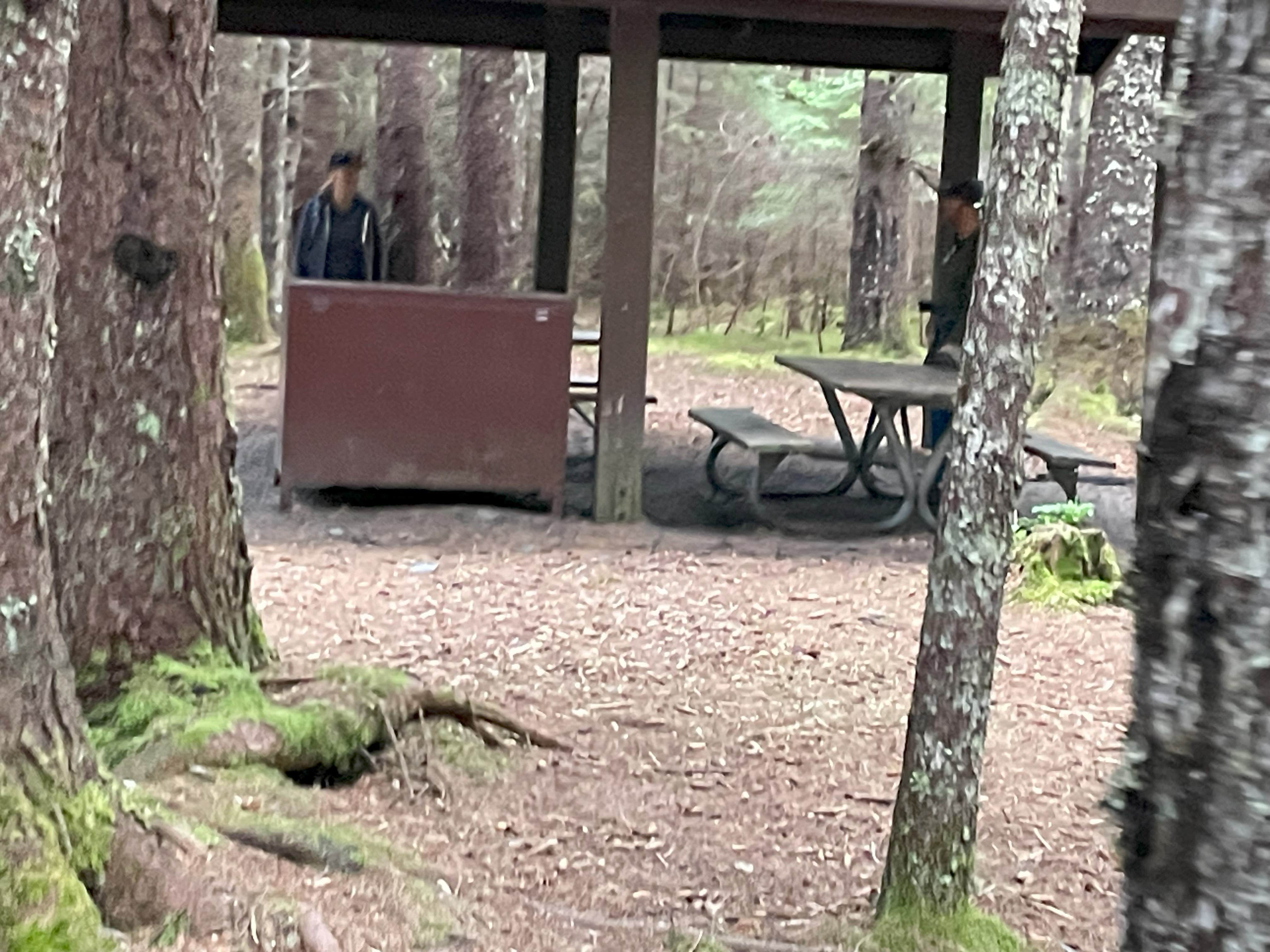 Camper-submitted photo at Tonsina Point at Caines Head near Seward, AK