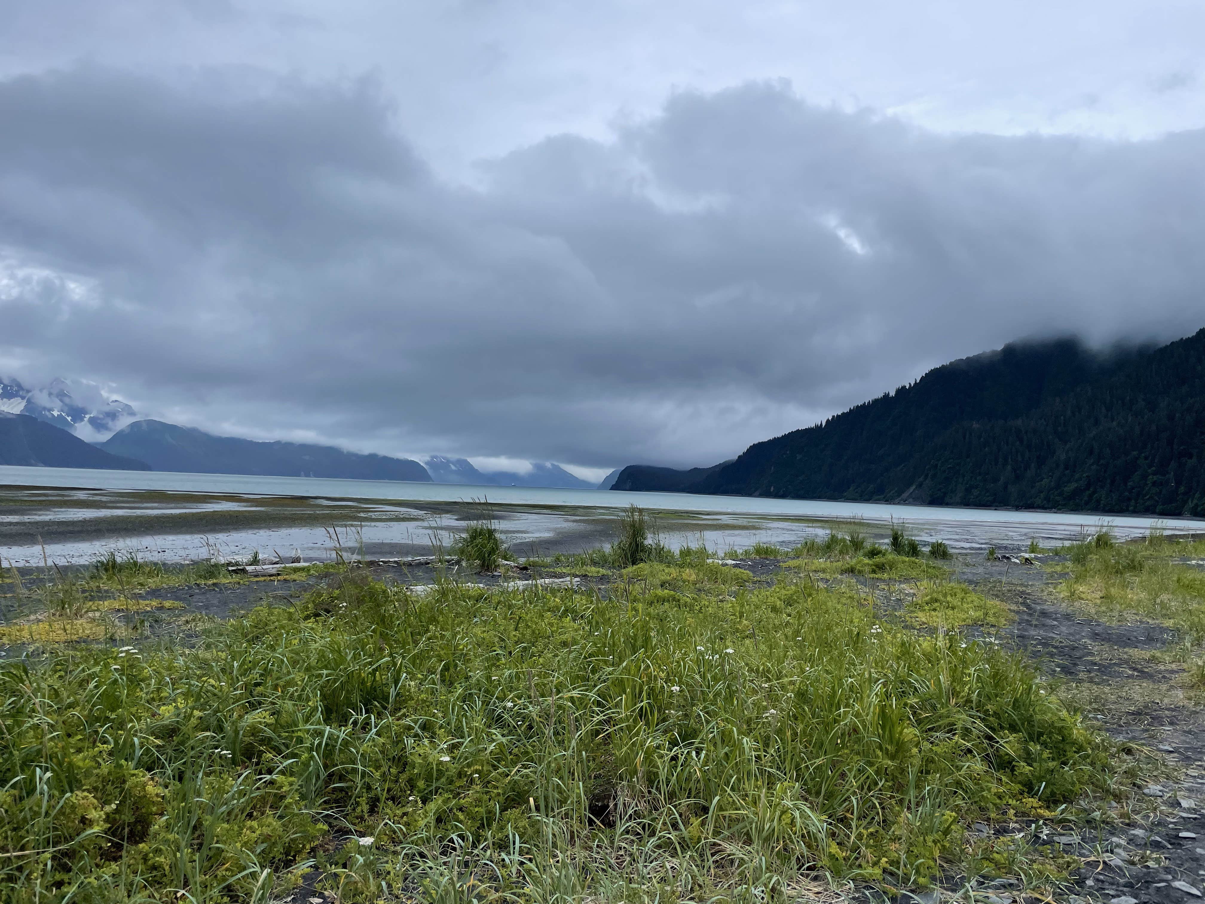 Camper-submitted photo at Tonsina Point at Caines Head near Seward, AK
