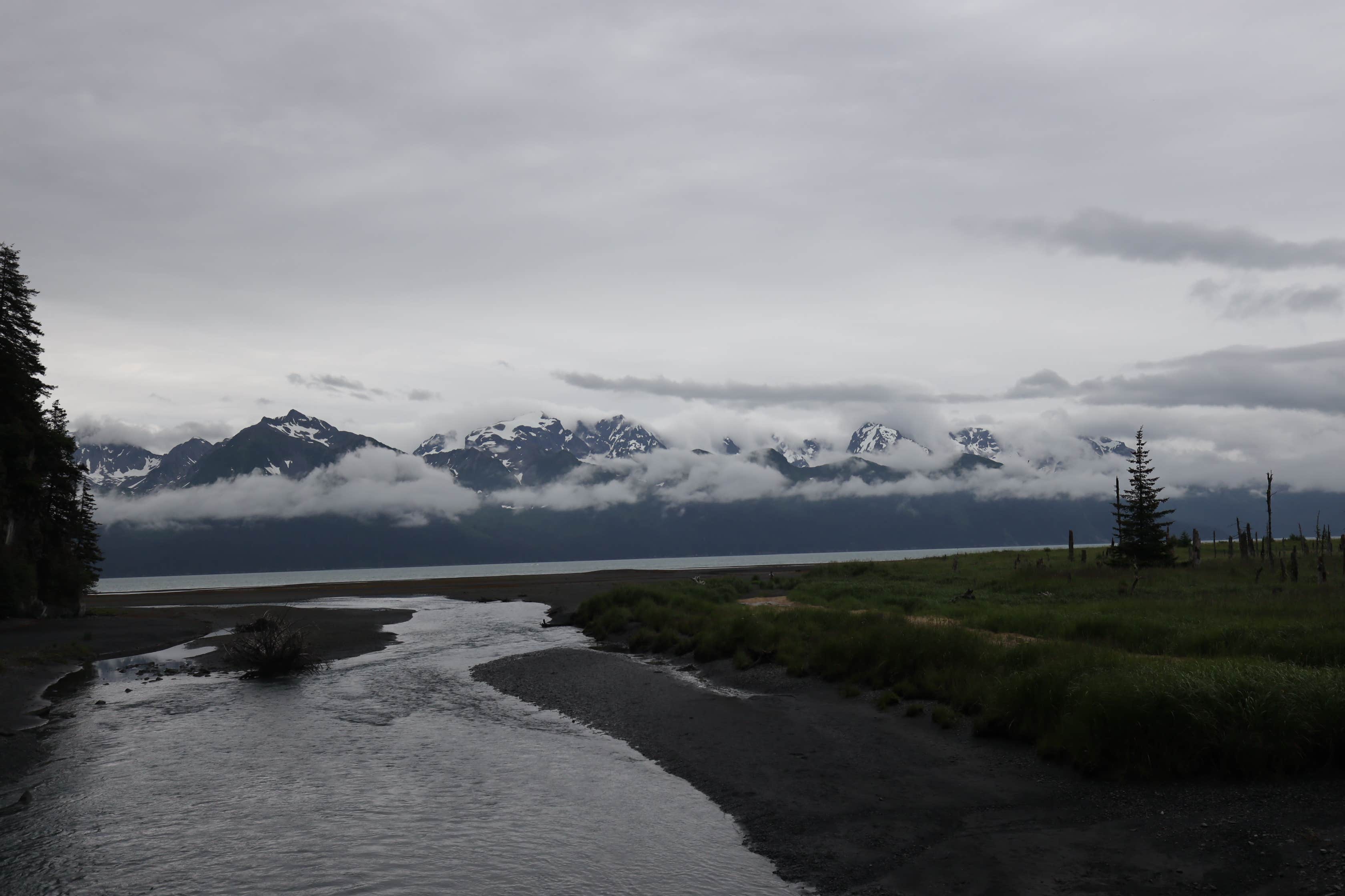 Camper submitted image from Tonsina Point at Caines Head - 5