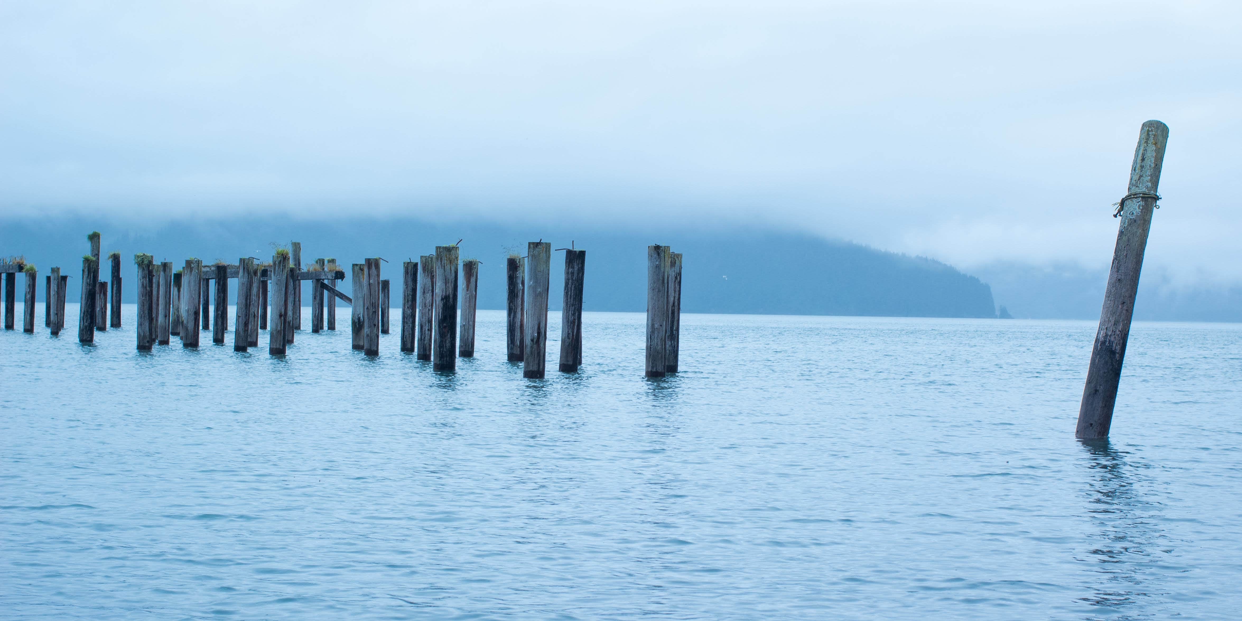 Camper-submitted photo at North Beach at Caines Head State Rec Area near Seward, AK