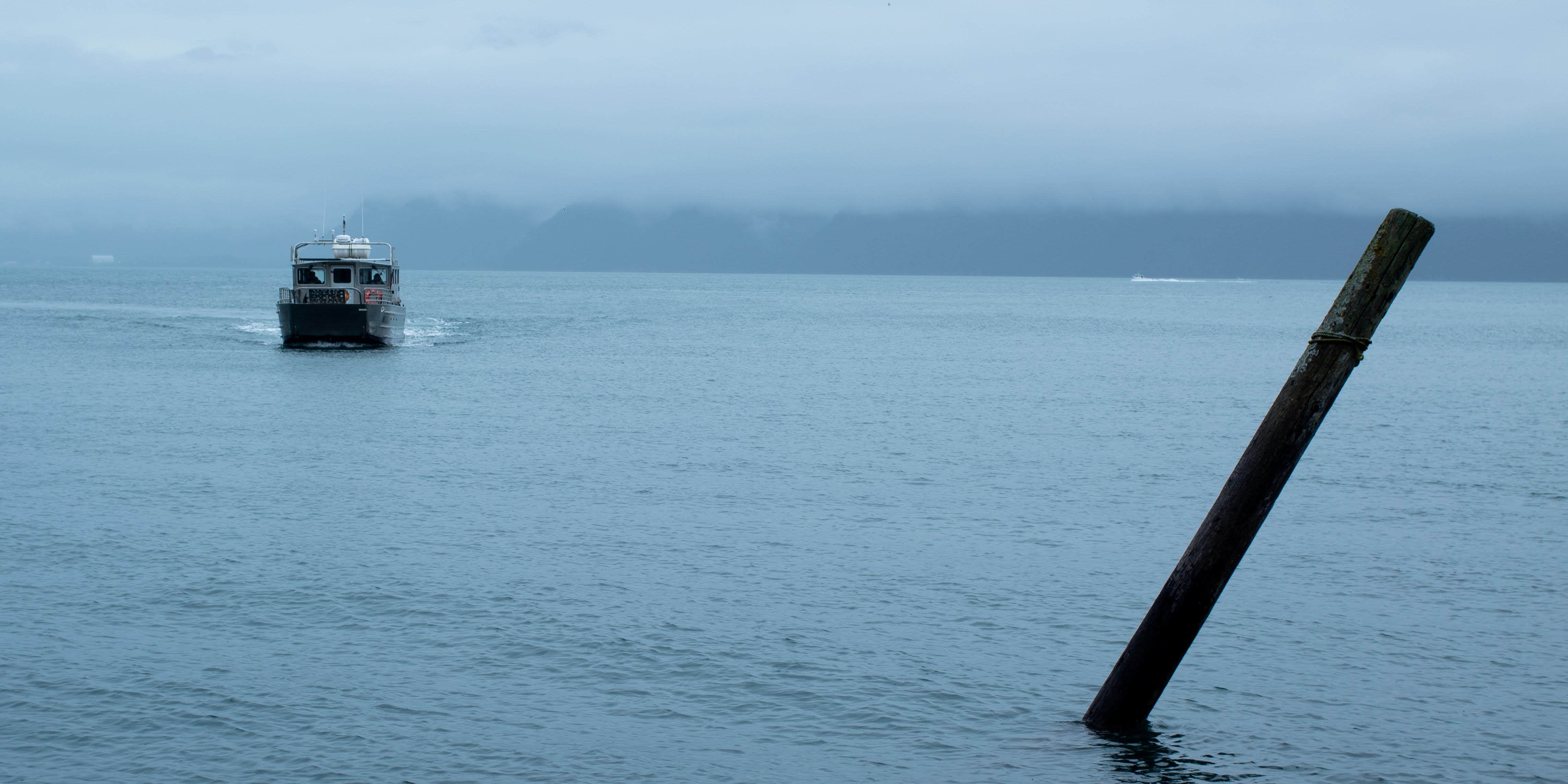 Camper-submitted photo at North Beach at Caines Head State Rec Area near Kenai Fjords National Park