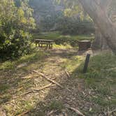Review photo of Santa Cruz Island Scorpion Canyon Campground — Channel Islands National Park by Leslie R., July 29, 2024