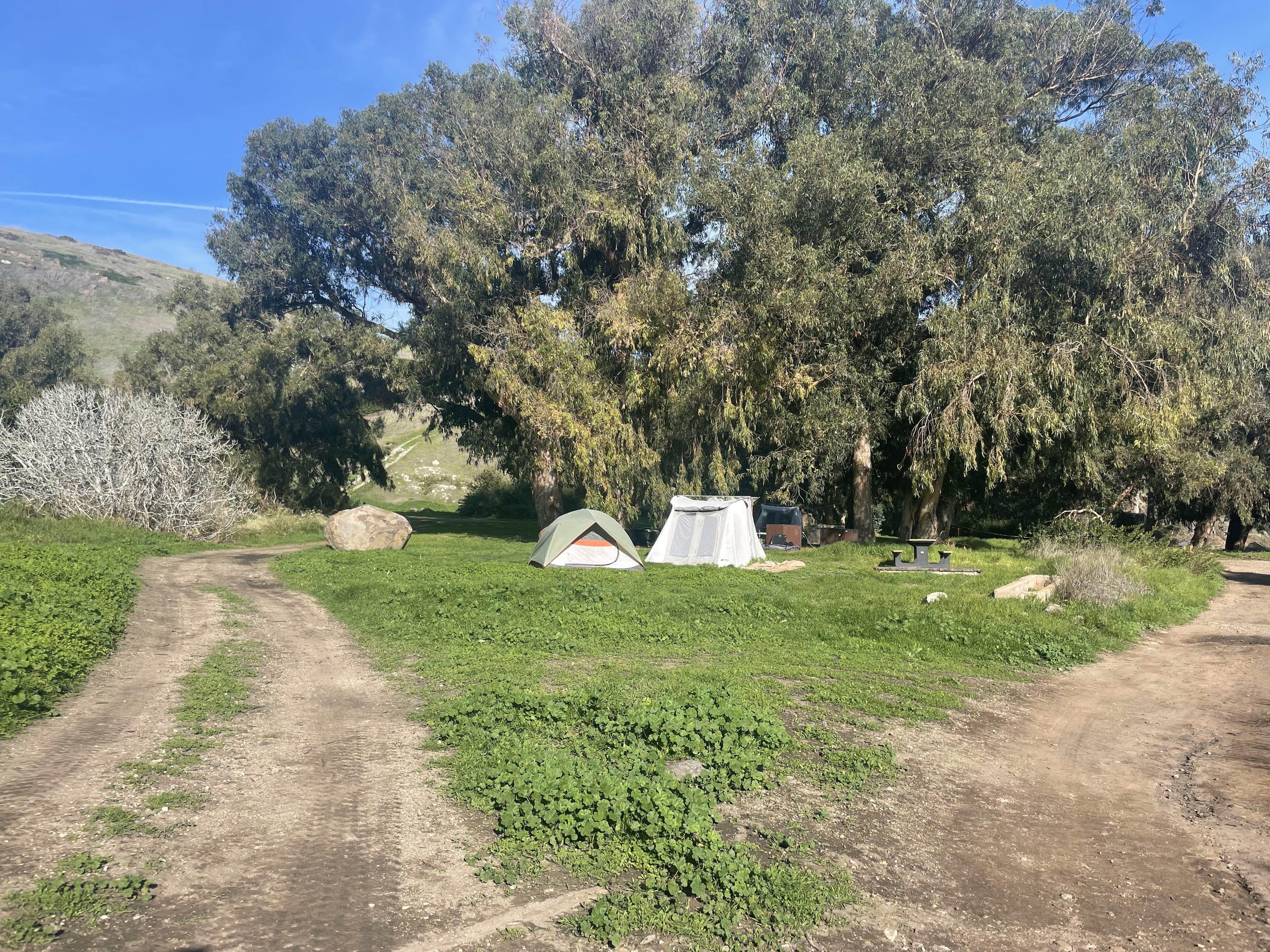 Les R.'s photo of tent camping at Santa Cruz Island Scorpion Canyon Campground — Channel Islands National Park near Moorpark, CA