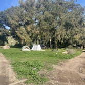 Review photo of Santa Cruz Island Scorpion Canyon Campground — Channel Islands National Park by Leslie R., July 29, 2024