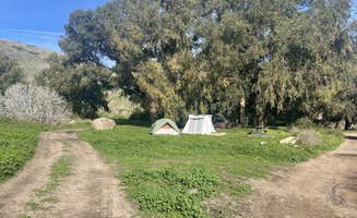 Les R.'s photo at Santa Cruz Island Scorpion Canyon Campground — Channel Islands National Park near Channel Islands National Park