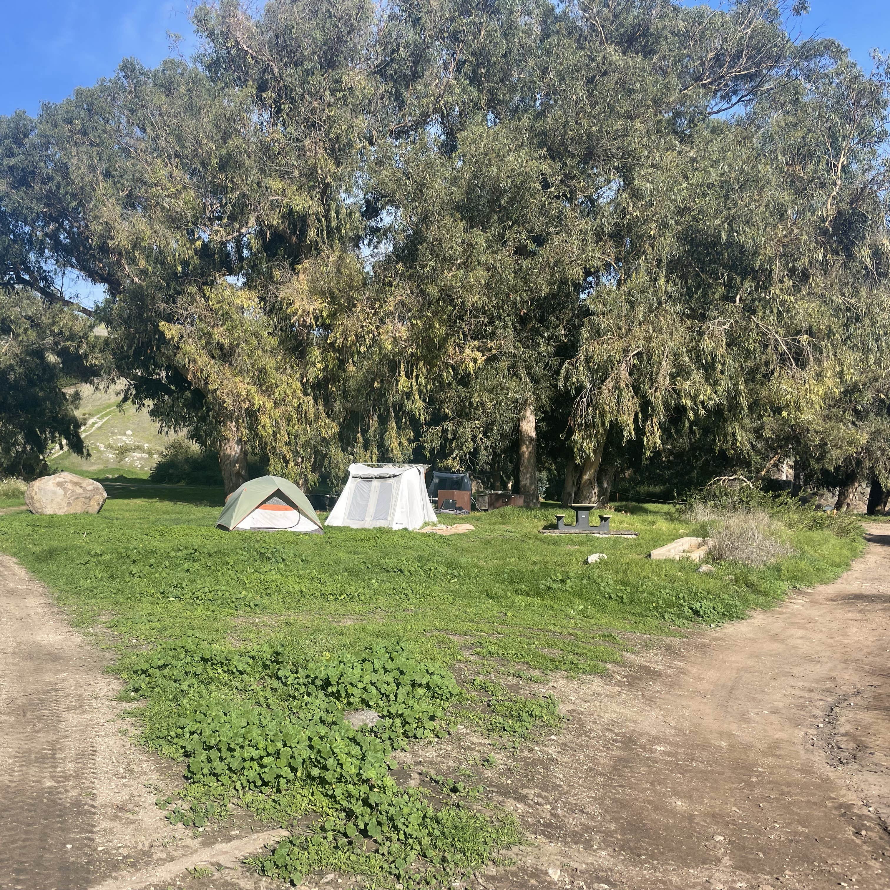 Santa Cruz Island Scorpion Canyon Campground Channel Islands National santa-cruz-island-scorpion-canyon-campground-channel-islands-national