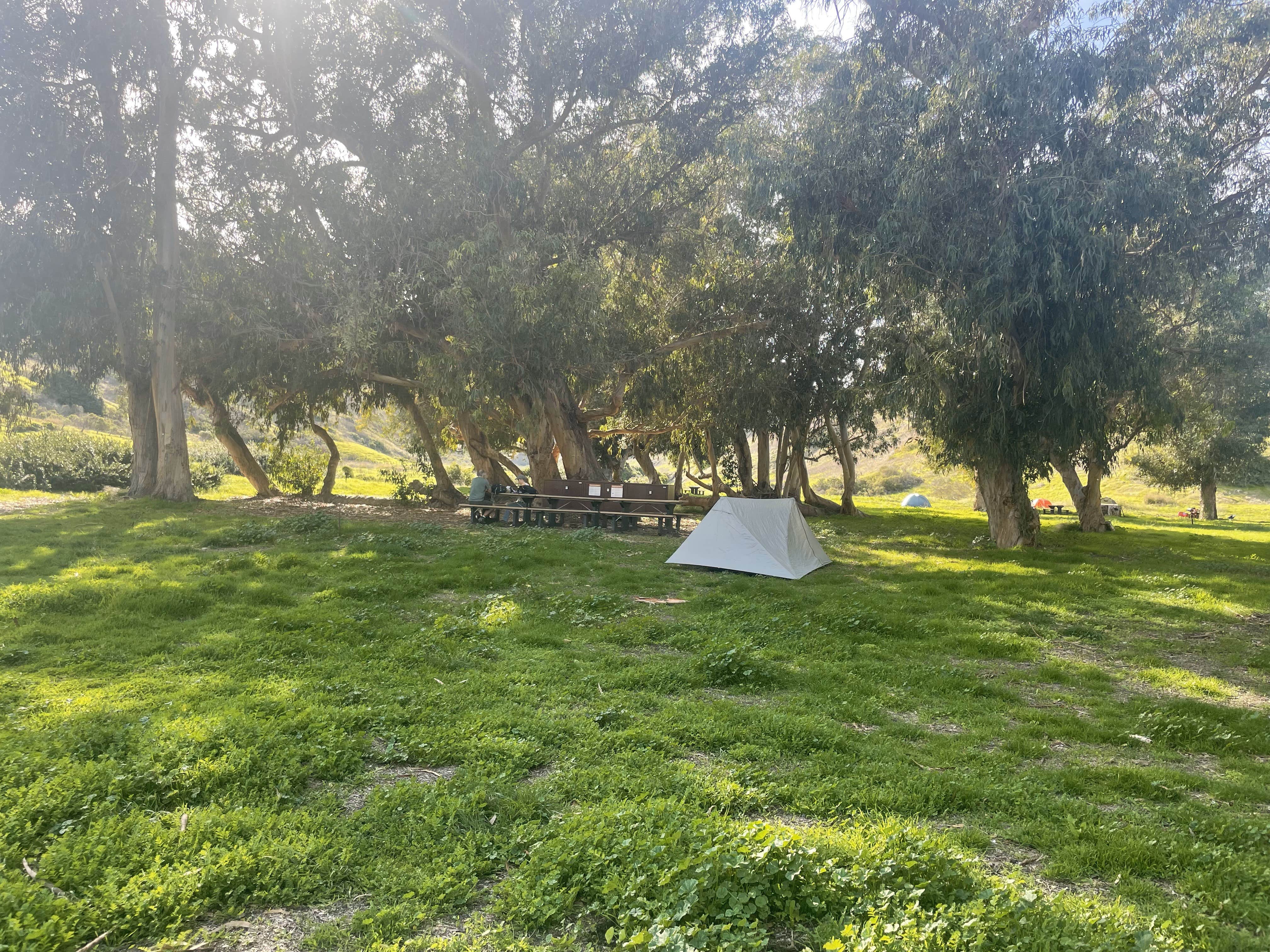 Les R.'s photo of tent camping at Santa Cruz Island Scorpion Canyon Campground — Channel Islands National Park near Solvang, CA