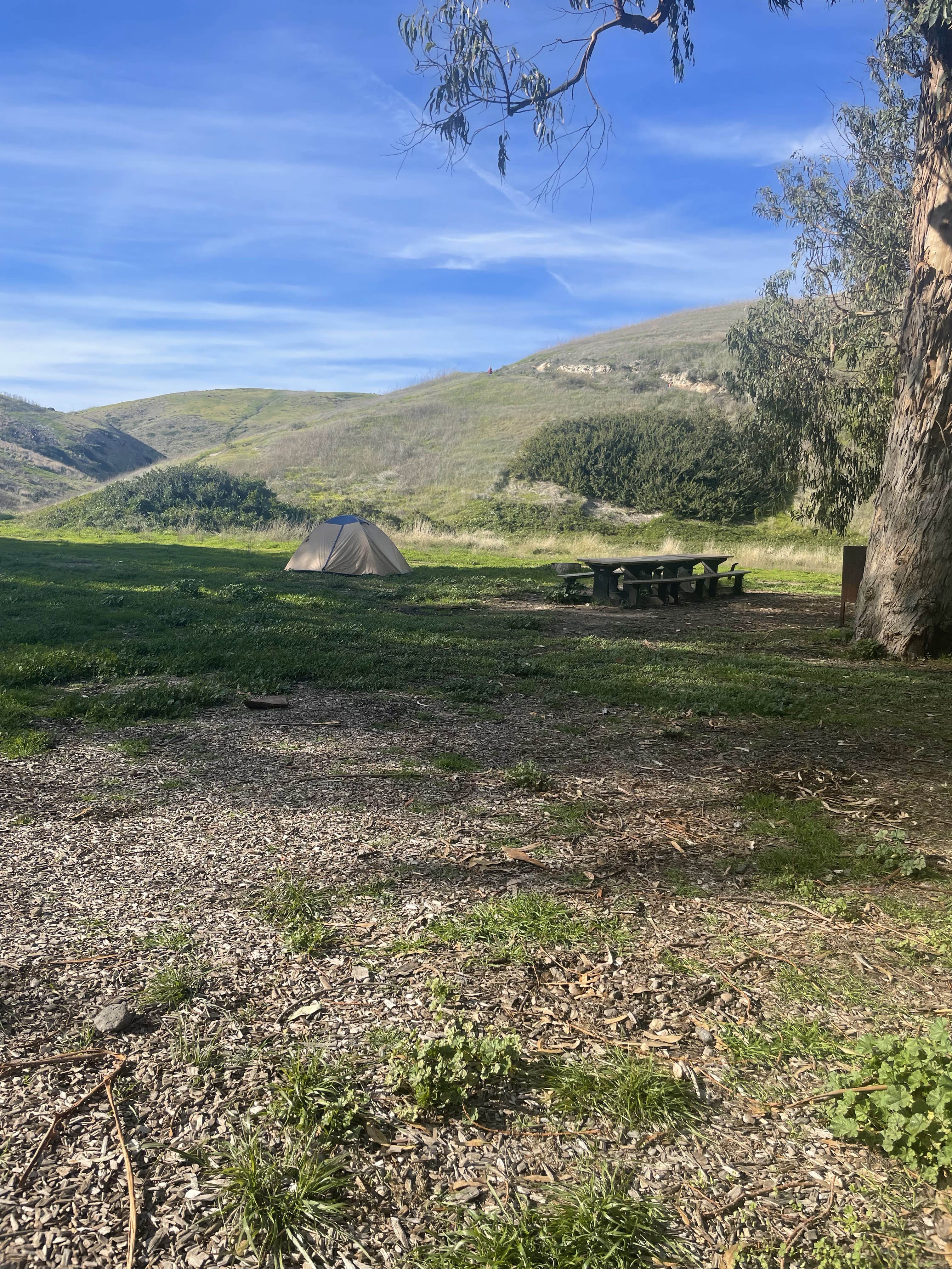 Les R.'s photo of tent camping at Santa Cruz Island Scorpion Canyon Campground — Channel Islands National Park near Summerland, CA