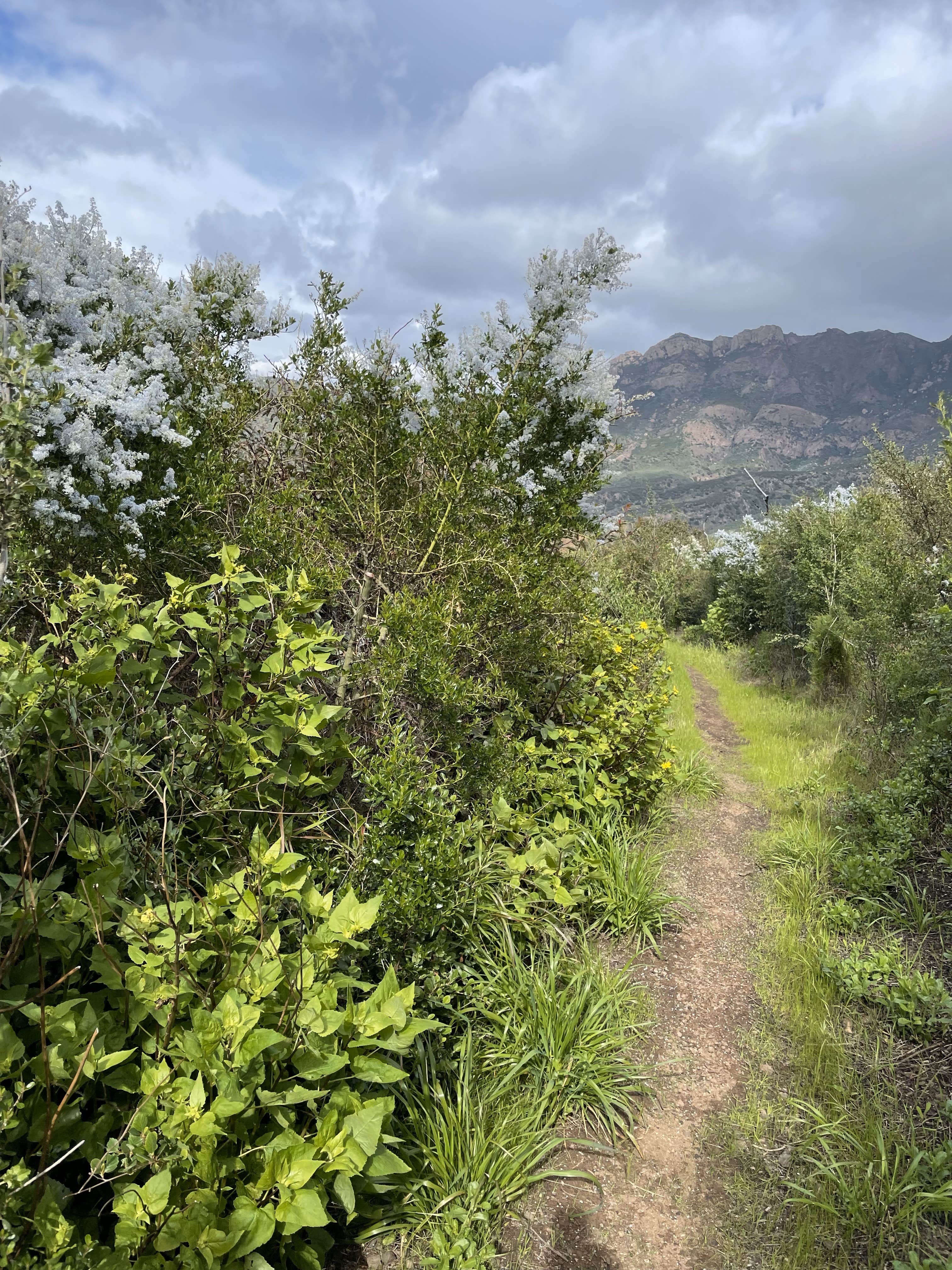 Camper-submitted photo at Danielson Group Multi-Use Area near Moorpark, CA