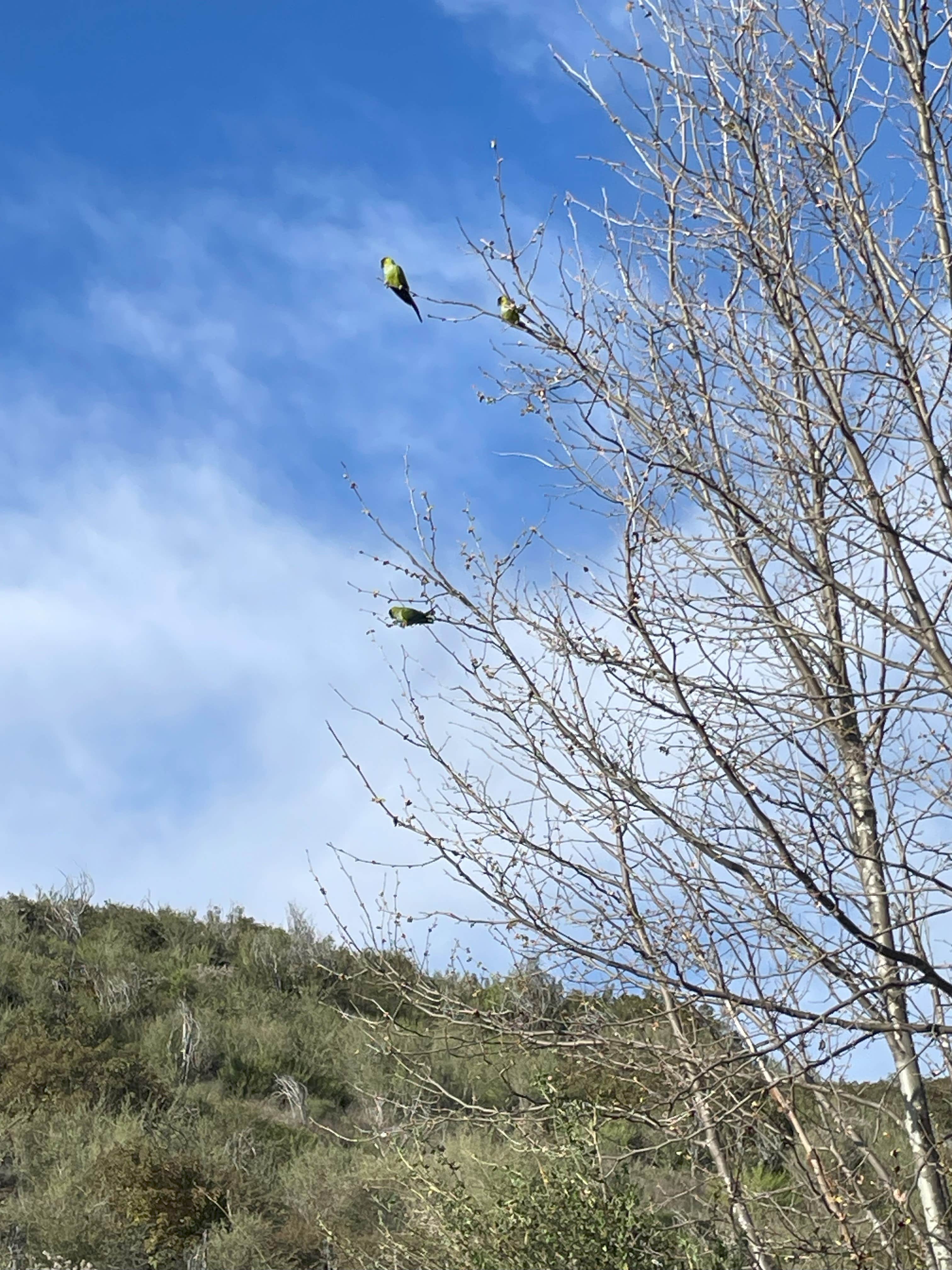 Camper-submitted photo at Danielson Group Multi-Use Area near Moorpark, CA