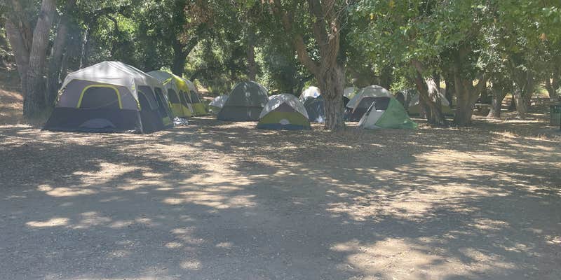 Camper submitted image from Placerita Canyon State Park Group Campsites