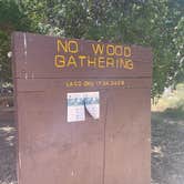 Review photo of Placerita Canyon State Park Group Campsites by Leslie R., July 29, 2024