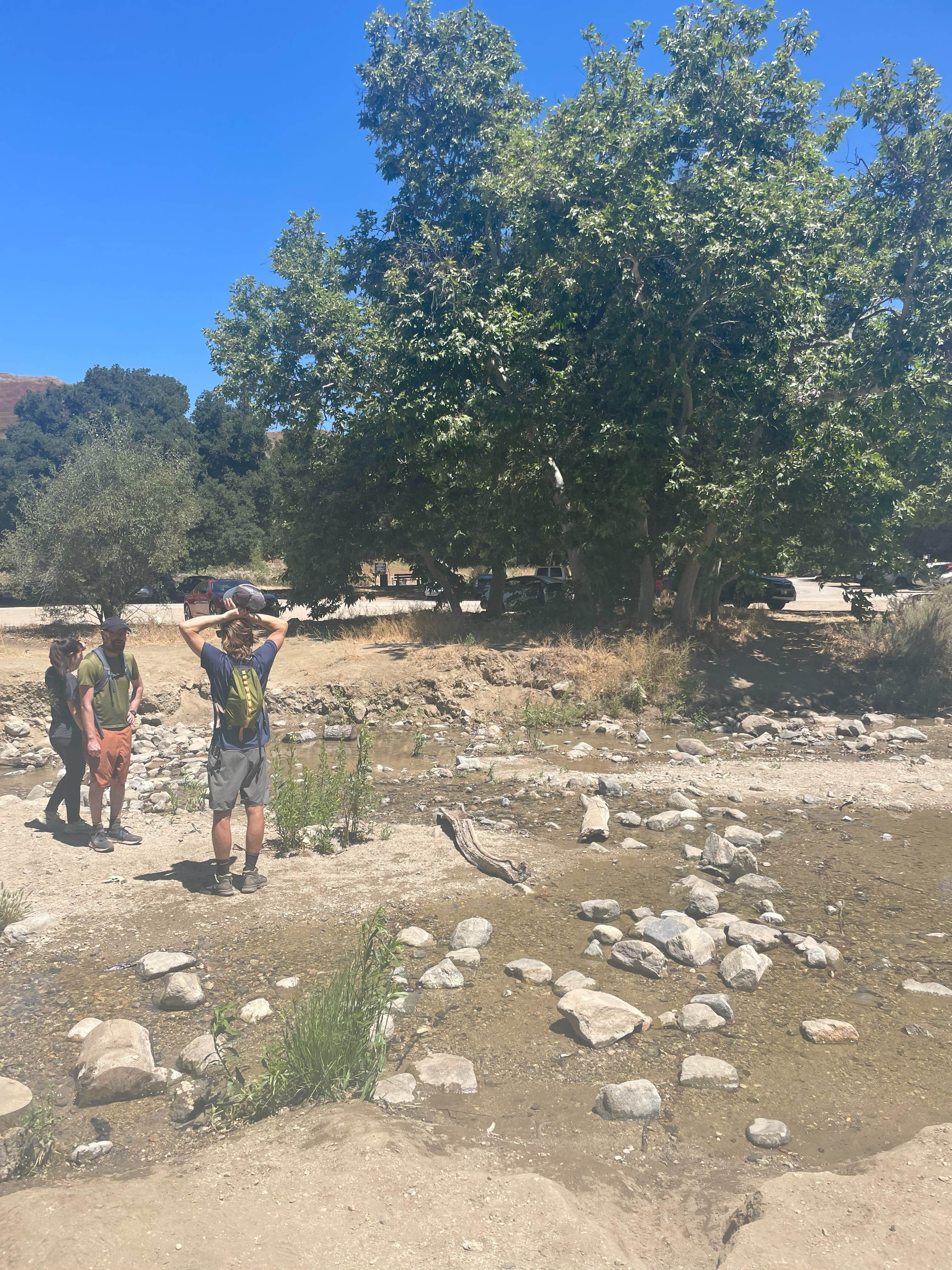 Camper-submitted photo at Placerita Canyon State Park Group Campsites near Moorpark, CA