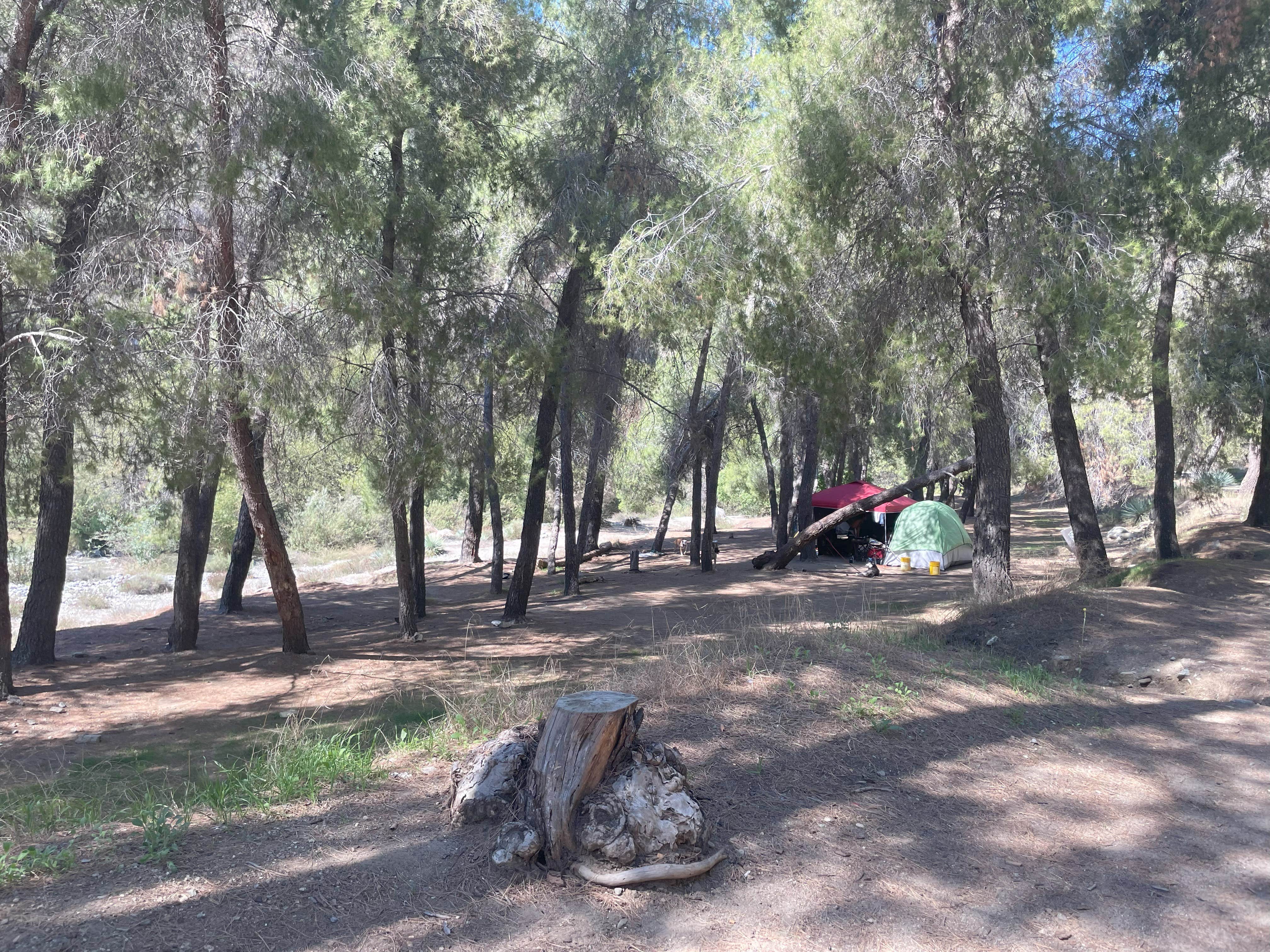 Camping near Manker Campground: Heaton flats, Mount Baldy, California