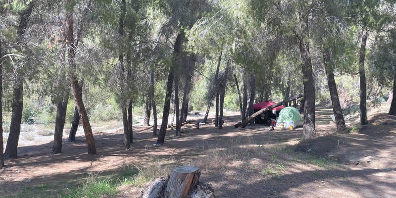 Camper submitted image from Heaton flats